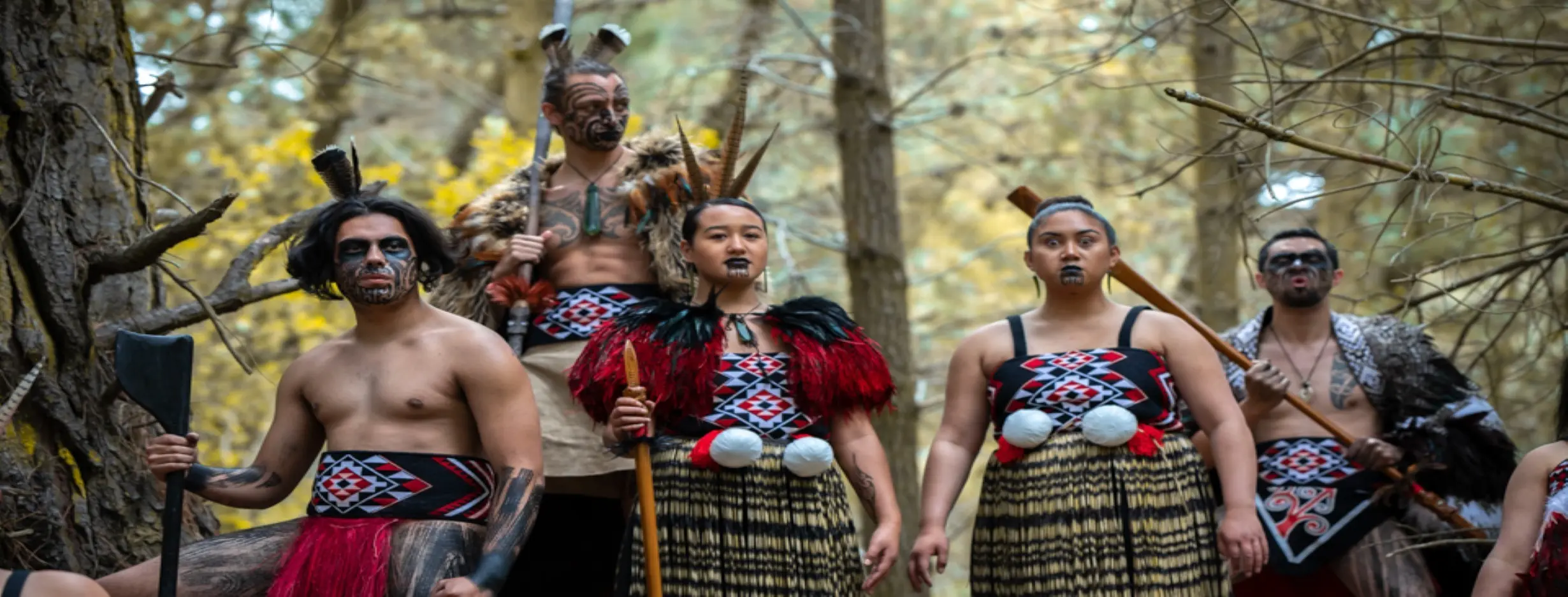 Image for Maori Experience